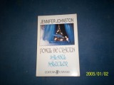 POMUL DE CRACIUN-SALASUL NALUCILOR-JENNIFER JOHNSON