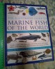 GUIDE TO MARINE FISH OF THE WORLD (FABULOUS 450 SPECIES) (5+1)5