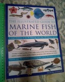 GUIDE TO MARINE FISH OF THE WORLD (FABULOUS 450 SPECIES) (5+1)5