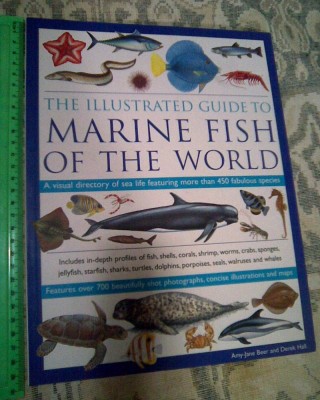 GUIDE TO MARINE FISH OF THE WORLD (FABULOUS 450 SPECIES) (5+1)5 foto
