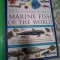 GUIDE TO MARINE FISH OF THE WORLD (FABULOUS 450 SPECIES) (5+1)5
