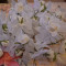 Cocarde flori / flori de piept nunta
