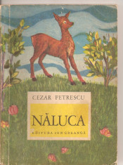 (C3095) NALUCA DE CEZAR PETRESCU, EDITURA ION CREANGA, 1972 foto