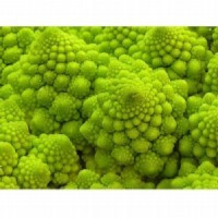 Seminte Conopida Romanesco foto