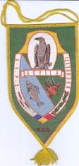 Fanion A.V.P.S Acvila Bucuresti R.S.R foto