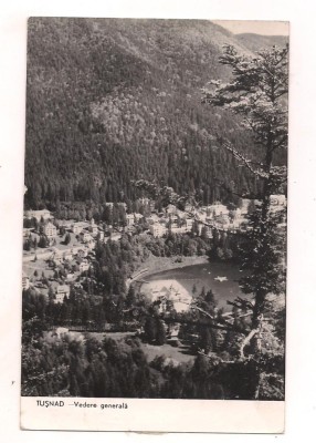 carte postala(ilustrata)-TUSNAD -Vedere generala foto
