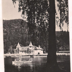 carte postala(ilustrata)-TUSNAD-Lacul Ciucas