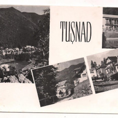 carte postala(ilustrata)-TUSNAD-colaj
