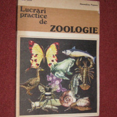 Lucrari practice de zoologie - Maria Suciu, Alexandrina Popescu (1981)