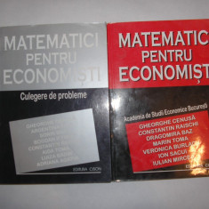 Matematici pentru Economisti - manual ASE 2 vol, manual + culegere probleme,P11
