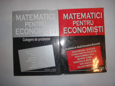 Matematici pentru Economisti - manual ASE 2 vol, manual + culegere probleme,P11 foto