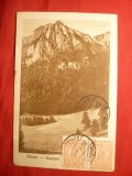 Ilustrata Sinaia-Busteni circ. cu 2 val.3 Lei roz Ferdinand TCV