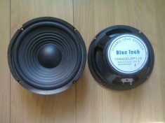 Vand difuzoare Blue Tech YDD200LPP110 200w foto
