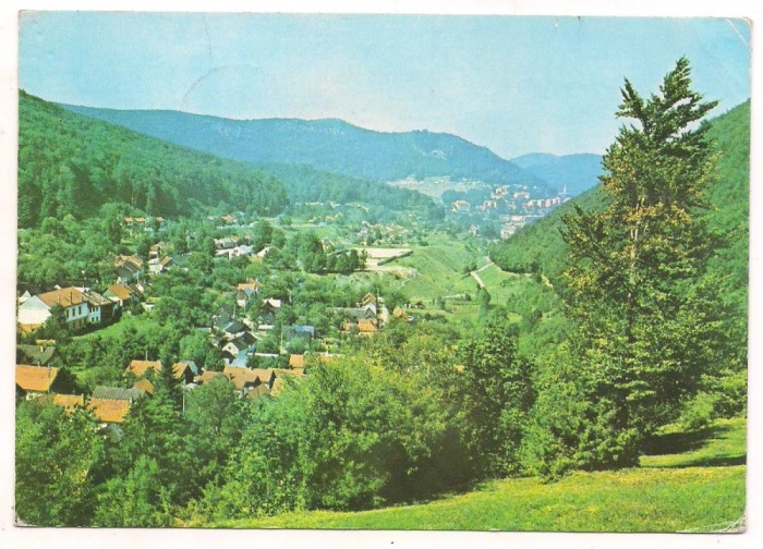 carte postala(marca fixa)-ANINA-vedere