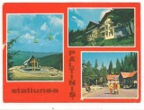 carte postala(marca fixa)-PALTINIS-statiunea