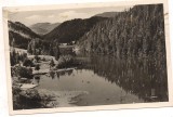 Carte postala(ilustrata)-GHILCOS-Lacul Rosu, Necirculata, Fotografie