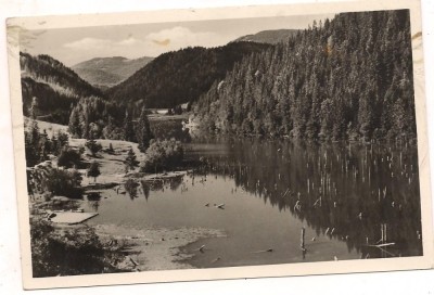 carte postala(ilustrata)-GHILCOS-Lacul Rosu foto