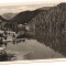 carte postala(ilustrata)-GHILCOS-Lacul Rosu