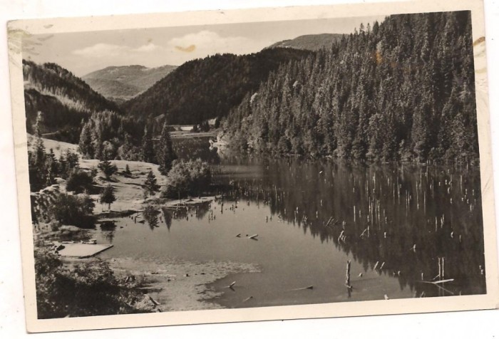carte postala(ilustrata)-GHILCOS-Lacul Rosu