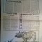 ziarul expres septembrie 1990