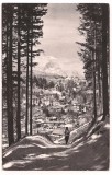 carte postala(ilustrata)-SINAIA Vedere de pe Piscul Ciinelui