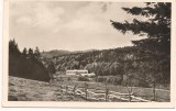 carte postala-BRASOV -Valea Rasnoavei