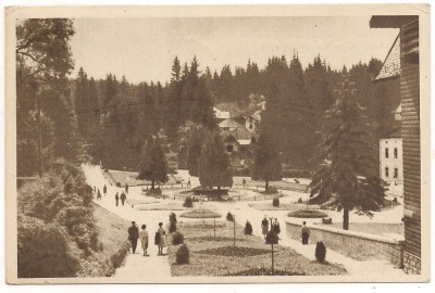 carte postala- BORSEC-Vedere din parc foto