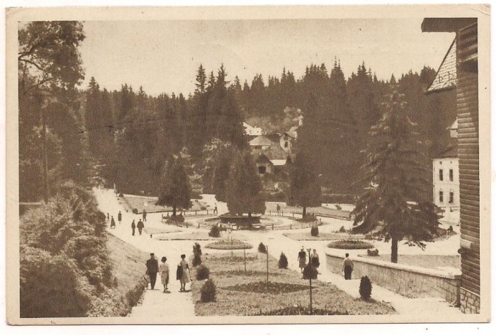 carte postala- BORSEC-Vedere din parc
