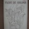 Constantina Caranfil - Flori de bruma