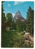 carte postala(marca fixa)-LACUL ROSU-vedere