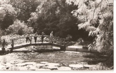 CPI (B1048) ORADEA, BAILE VICTORIA, LACUL CU NUFERI, EDITURA MERIDIANE, CPCS, CIRCULATA 1963, STAMPILE, TIMBRU FILATELIC. foto