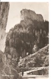 CPI (B1103) CHEILE BICAZULUI, EDITURA MERIDIANE CPCS, CIRCULATA 1961, STAMPILE, TIMBRU., Fotografie