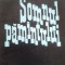 SOMNUL PAMANTULUI - D. R. Popescu