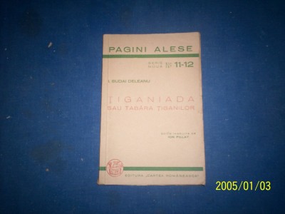 TIGANIADA -ION BUDAI DELEANU foto
