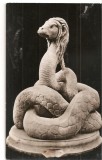 CPI (B1097) MUZEUL REGIONAL DE ARHEOLOGIE DOBROGEA - CONSTANTA, SARPELE FANTASTIC, MARMURA, SEC. II-III E.N. TOMIS, EDITURA MERIDIANE, NECIRCULATA RPR
