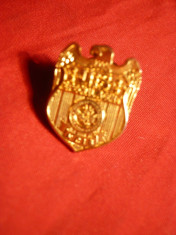 Insigna Militara Americana -Agent Special NCIS ,metal aurit foto