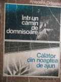 INTR-UN CAMIN DE DOMNISOARE-CALATOR DIN NOAPTEA DE AJUN