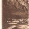 CPI (B1117) BUSTENI, EDITURA DE STAT, CIRCULATA RPR