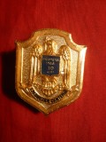 Insigna Liceu Militar Dimitrie Cantemir, 30 Ani Absolvire (1966), Colectie, Metal Aurit Email