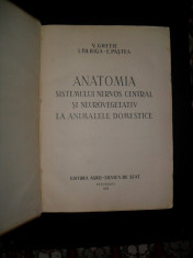 V. Ghetie , Anatomia sistemului nervos central si neurovegetativ la animalele domestice ,1956 foto