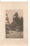 CPI (B1528) PEISAJ, VEDERE, RAU, COPACI, CIRCULATA 1912, RUTA IASI - BOTOSANI, STAMPILE - GOARNA, TIMBRU., Fotografie