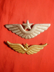 Set 2 Insigne Militare Aviatia Americana -Pilot Comandant foto