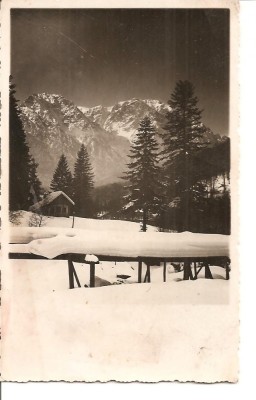 CPI (B1527) VEDERE, PEISAJ DE IARNA , MUNTI, BRAZI, NECIRCULATA, INTERBELICA foto