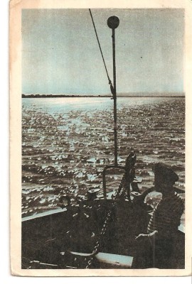 CPI (B1521) PE DUNARE, NECIRCULATA, TIMPRU IMPRIMAT foto