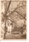 Foto  - 1