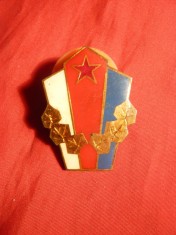 Insigna Militara Cehoslovaca foto