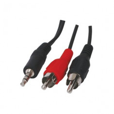 Cablu audio jack 3,5mm la 2RCA 10m foto