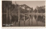 CPI (B1498) LACUL ROSU ( GYILKOS ), GYILCOKOSTO, FOTO AMBRUS, NECIRCULATA, Fotografie