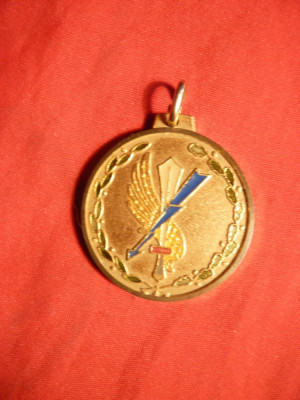 Medalie Divizia Mecanizata Folgore Italia foto
