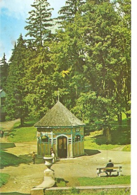 CPI (B1507) BORSEC, IZVORUL NR. 5 DE APA MINERALA, EDITURA MERIDIANE, CIRCULATA 1977, STAMPILE, TIMBRU. foto